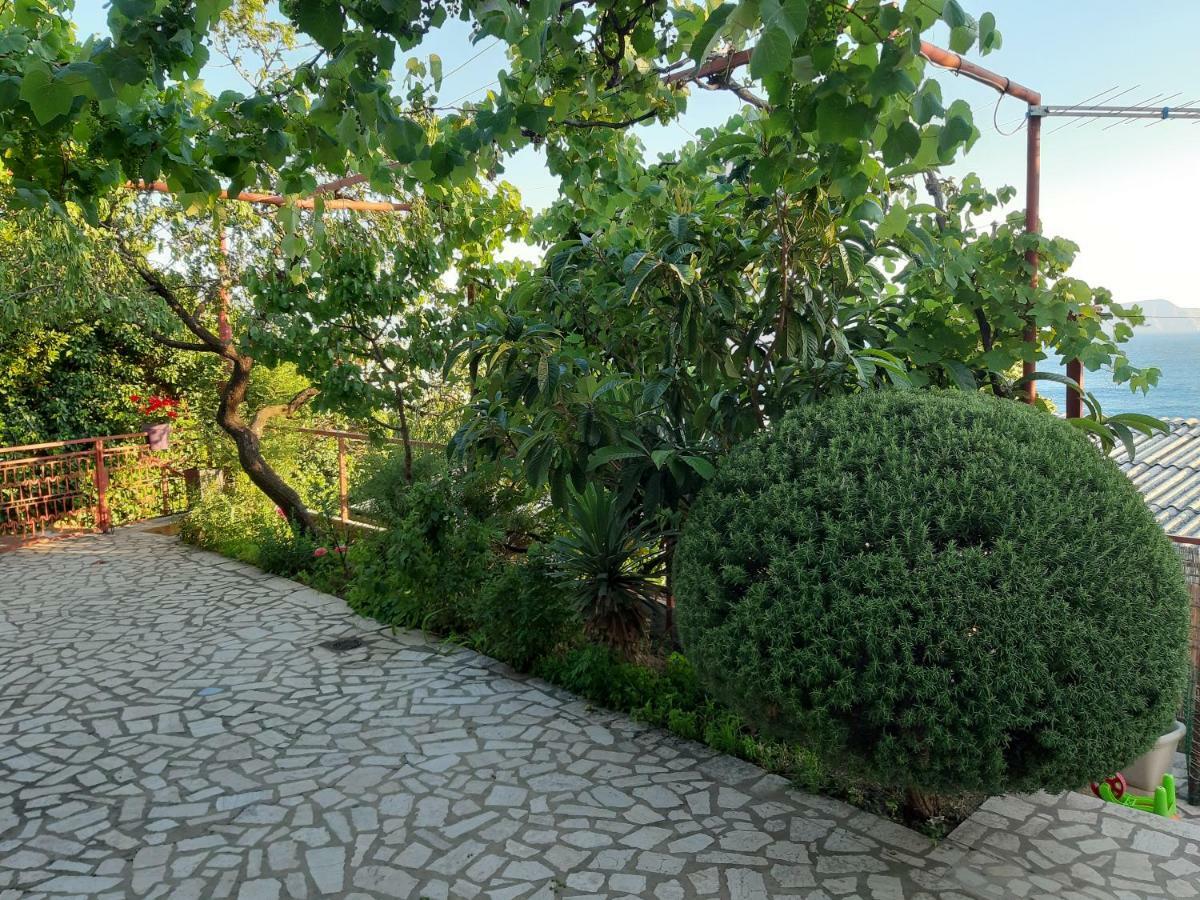 Ruza Daire Senj  Dış mekan fotoğraf